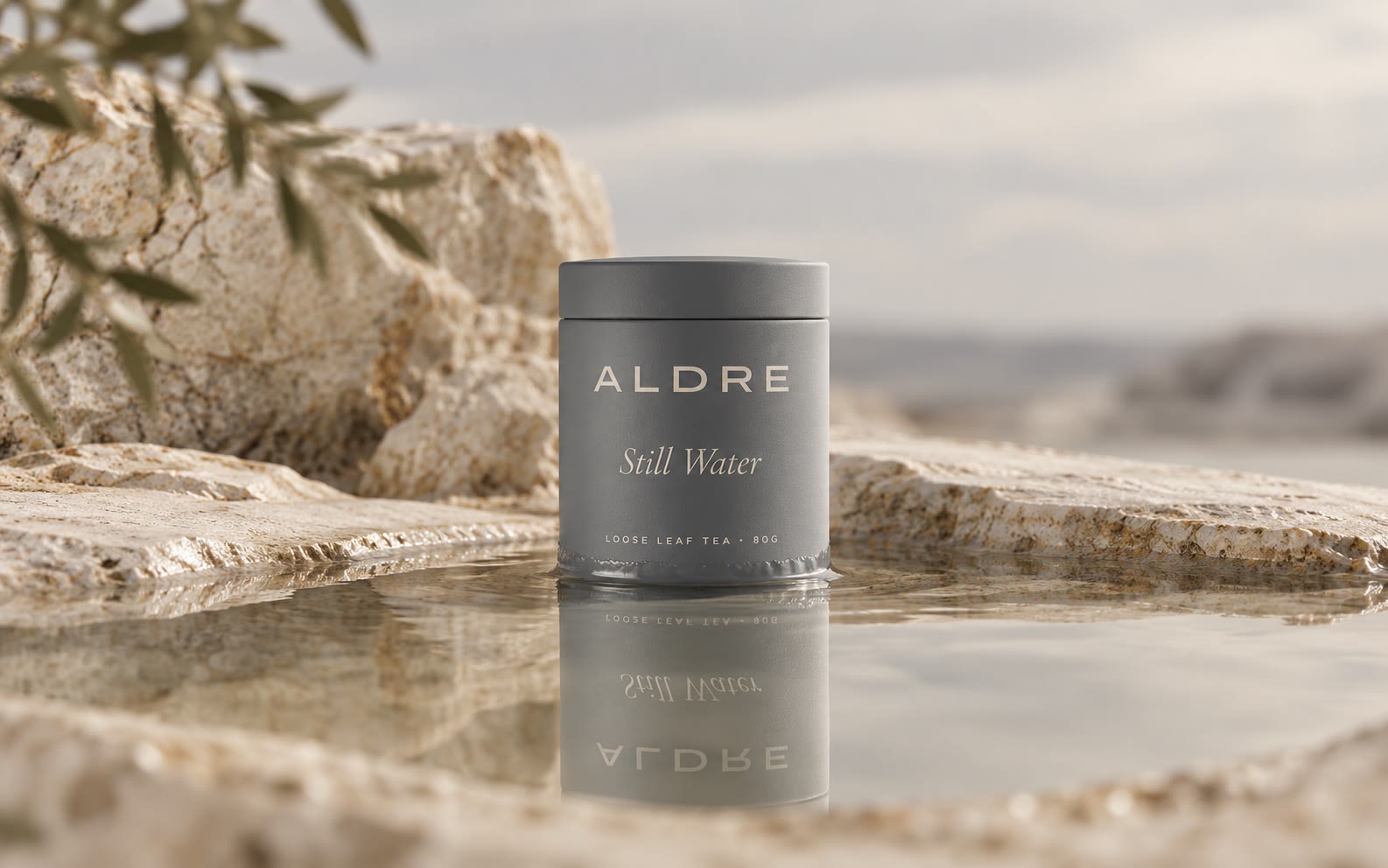 A mist grey tin standing in still water on pale stone