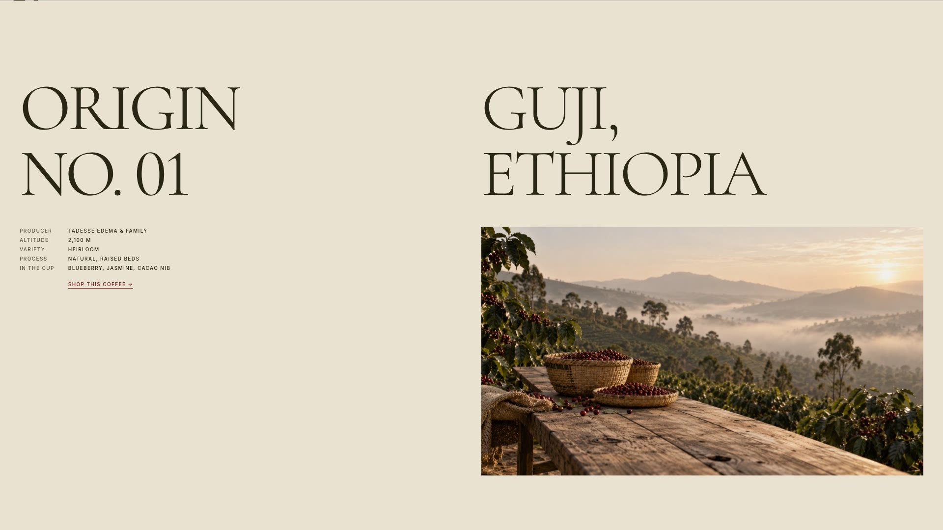 Origin No. 01, Guji, Ethiopia: producer, altitude, variety, process and tasting notes