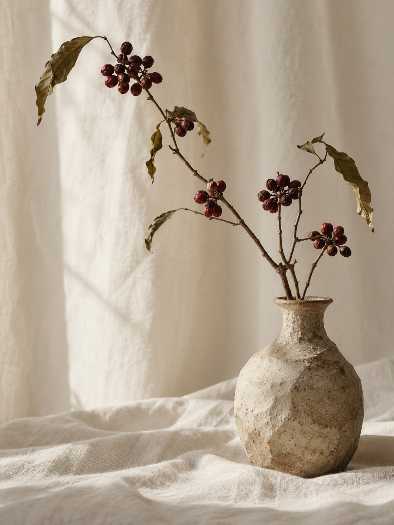 A coffee cherry branch in a ceramic vase